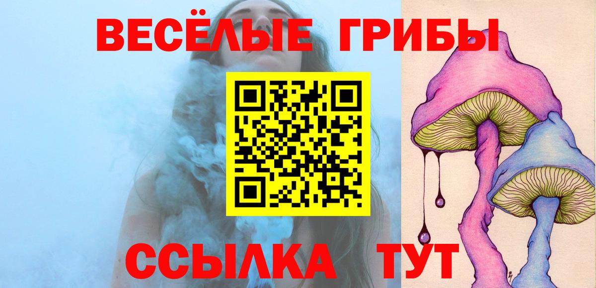 Псилоцибиновые грибы мицелий Асбест
